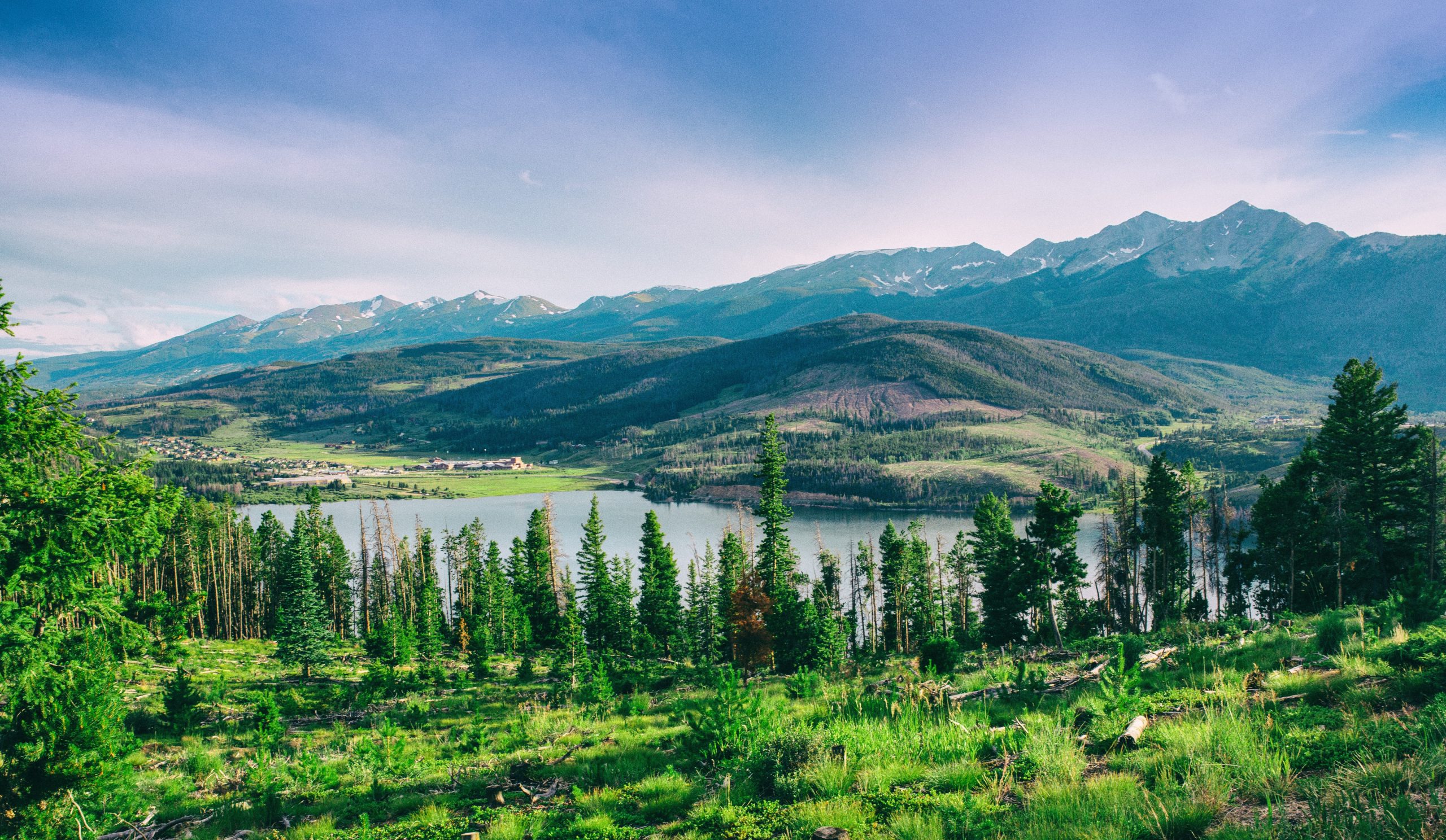 colorado forest